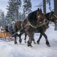 A Sleigh ride in Kubalonka